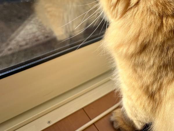 妻「アナタが出勤してから…」　送られてきた１枚に「すぐさま帰宅だ」