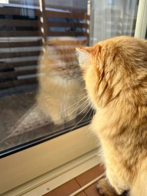 妻「アナタが出勤してから…」　送られてきた１枚に「すぐさま帰宅だ」