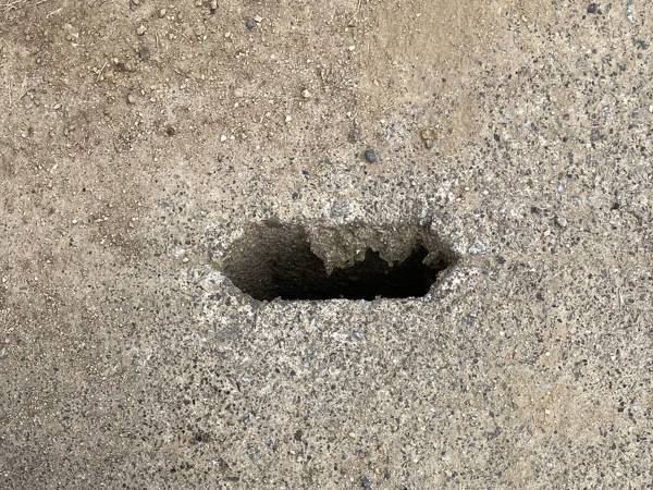 母親「ヤバイ楽しい」　次女おすすめの遊びに「職場でやってもいいですか…！」