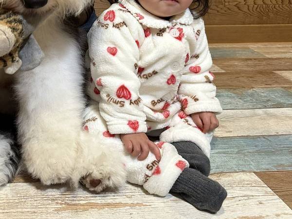 「弟、デカくない？」　妹と並んだ写真に「何倍！？」「コストコのぬいぐるみか」