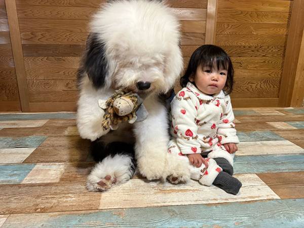 「弟、デカくない？」　妹と並んだ写真に「何倍！？」「コストコのぬいぐるみか」