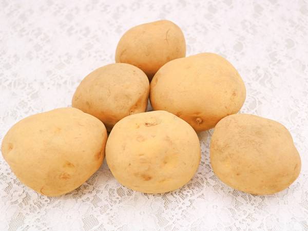 「知らなかった」「普通に入れてた」　冷蔵庫での保存に向かない食品にビックリ