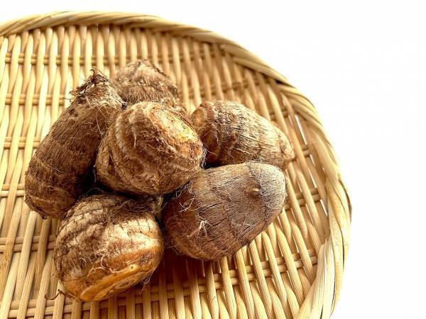 サトイモの下処理、手がかゆいなら？　カゴメが教えるコツに「意識してみます」