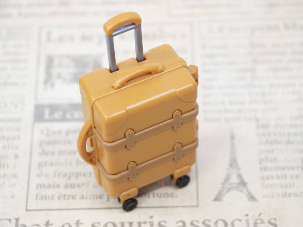 海外旅行のお土産　日本に持ち帰れないNGアイテムとは　政府広報の内容に「知りませんでした…」