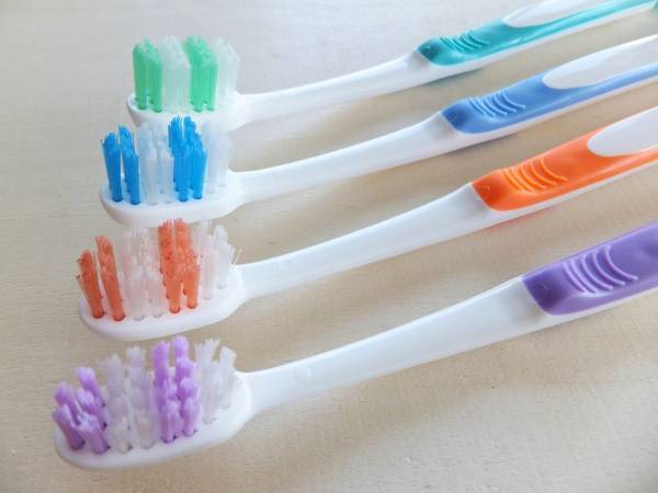 省スペースで衛生的！　アウトドアに最適な歯ブラシの持ち運び方に「その手があったか！」