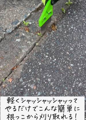 コンクリートの隙間から生える頑固な雑草はコレで除去！　女性でも楽に使える「雑草ブラシ」とは？