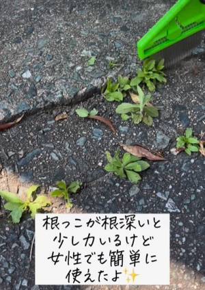 コンクリートの隙間から生える頑固な雑草はコレで除去！　女性でも楽に使える「雑草ブラシ」とは？