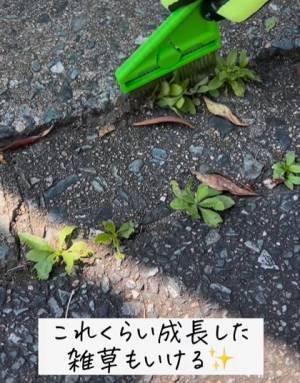 コンクリートの隙間から生える頑固な雑草はコレで除去！　女性でも楽に使える「雑草ブラシ」とは？