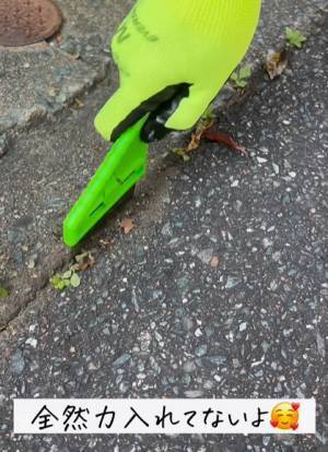 コンクリートの隙間から生える頑固な雑草はコレで除去！　女性でも楽に使える「雑草ブラシ」とは？