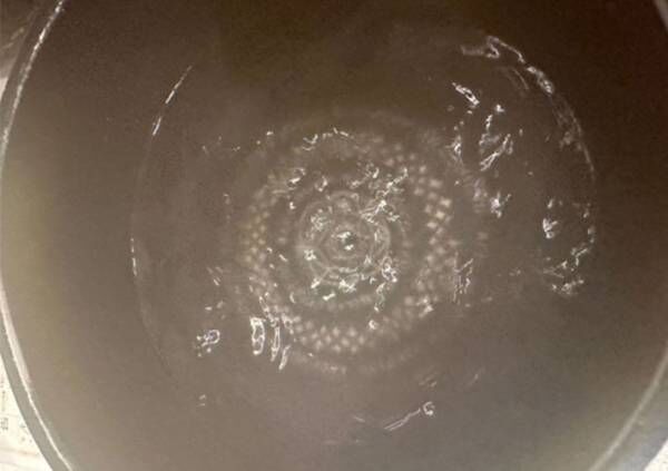 スープをい方向にかき混ぜ水流を作った写真