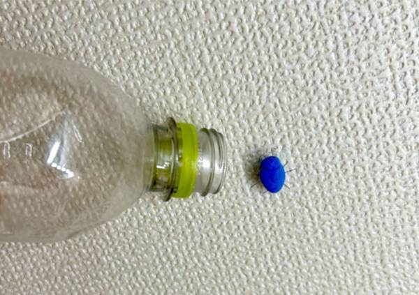 空のペットボトルの意外な使い道に「遭遇しても安心」「取っておく」