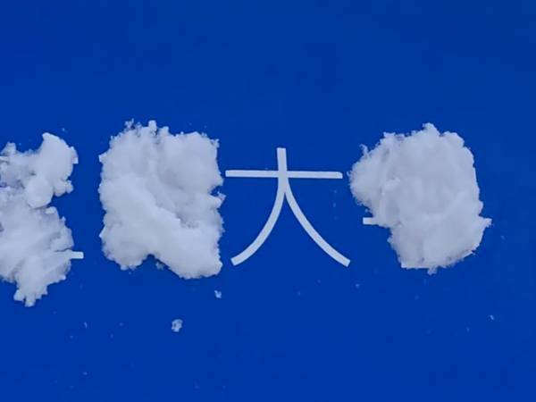 雪の日に大学へ行くと…　「さすが」「現代アートだ！」