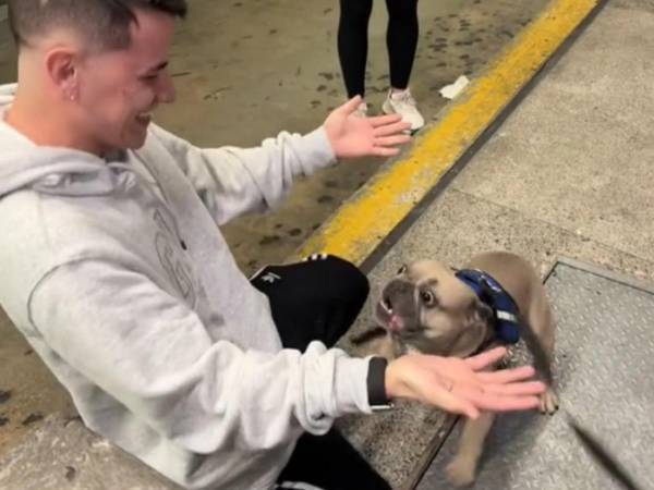 長い間会っていなかった飼い主が目の前に！　犬の『反応』に「笑って泣いた！」