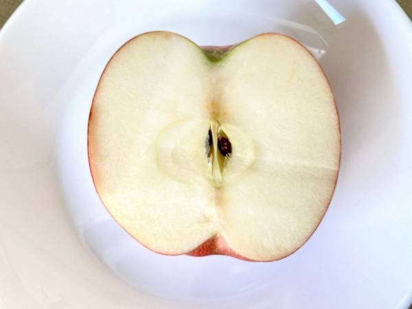 「こんな切り方があったとは！」　ニチレイ直伝の甘みを逃さないリンゴの切り方とは