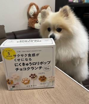 飼い主「とっても楽しかった…」　バレンタインの行動に、ポメがドン引き！