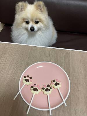 飼い主「とっても楽しかった…」　バレンタインの行動に、ポメがドン引き！