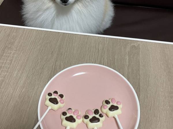 飼い主「とっても楽しかった…」　バレンタインの行動に、ポメがドン引き！