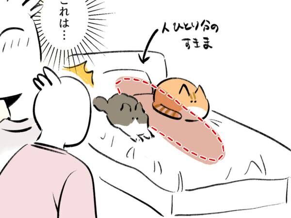 すれ違う猫と飼い主を描いた漫画に「あるある！」の声