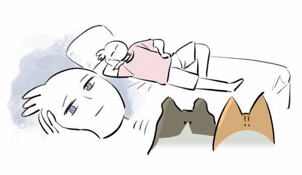 すれ違う猫と飼い主を描いた漫画に「あるある！」の声