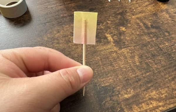 弁当用のピック、洗うの面倒じゃない？　代用のコツに「使い捨てても罪悪感なし」