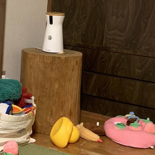 突然動くペットカメラが怖い犬　ある日とった行動に「泣ける」「最高かよ」