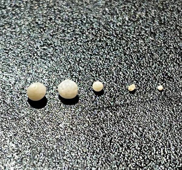 国産のホタテを買った客　家でパックを開けてみると…？