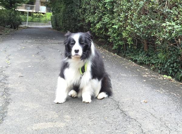 「信じられないと思うけど、これ…」　正体に「最高か」「ウソだろ…」