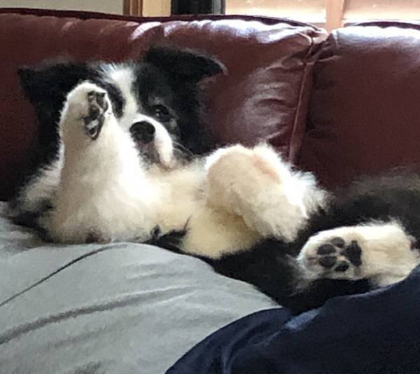 「信じられないと思うけど、これ…」　正体に「最高か」「ウソだろ…」