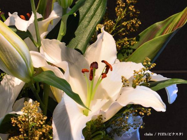 日本テレビが『セクシー田中さん』の社内特別調査チーム設置　小学館も協力