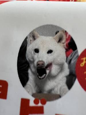 娘「バレンタインのお菓子送ったよ」　箱の中を見て「最高か」「１００点満点」