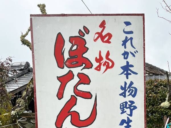 「この親子何を食べるつもりなんだ」　看板の絵に「爆笑した」「最高のセンス」