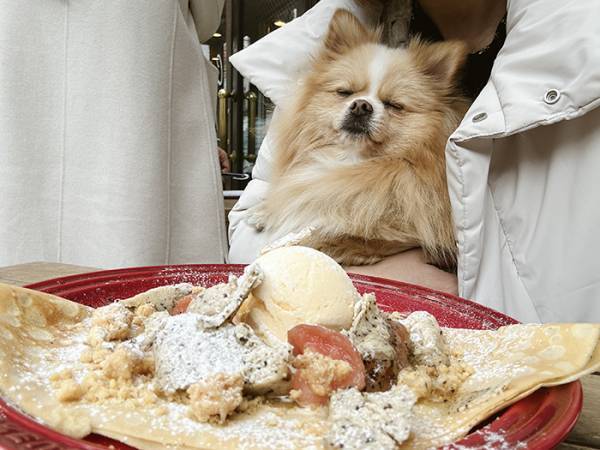 「なんか思ってたんと違う」　ポメと『映える写真』を撮ったら…「思わず吹いた」