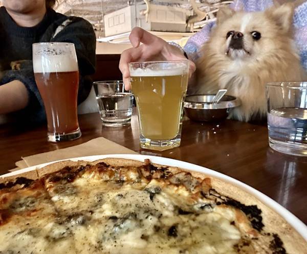 「なんか思ってたんと違う」　ポメと『映える写真』を撮ったら…「思わず吹いた」