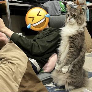 完全に『中の人』がいる…！　衝撃的な猫の姿に「ウソだろ」「二度見した」