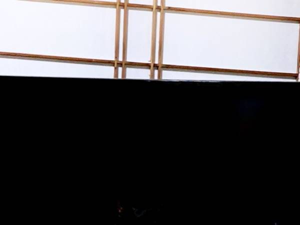 「テレビに目がついてる…」　黒猫が擬態した写真に１１万人が『いいね』