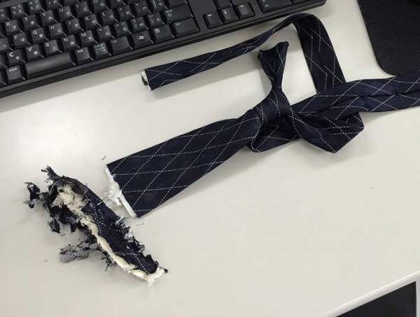 シュレッダーにネクタイが…　社員を救った課長の行動が「有能すぎ」「命の恩人ですね」