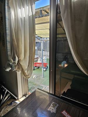 「こいつら絶対なんかやったな」　ハスキーたちの姿を見ると…「吹いた」「露骨か！」