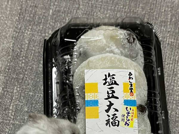 豆大福が５つと思いきや？　そっくりさんに「一瞬脳がバグった」「好き」