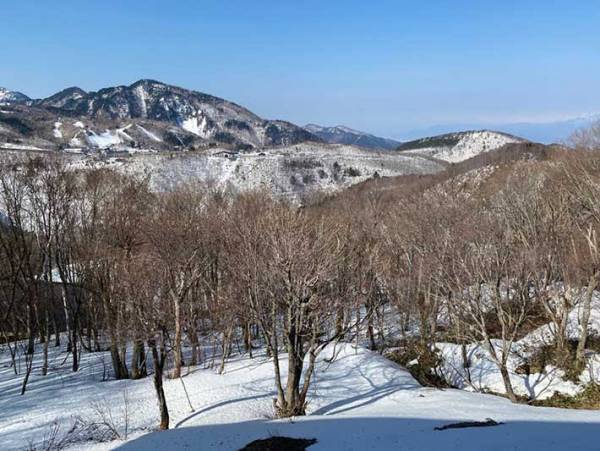 長野の高原に佇むホテル　接客上手な『スタッフ』に「なんて有能」「守ってる」