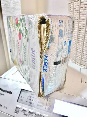 「ボロ泣きした」　１歳児が『スコッティのティッシュ』を運ぶと