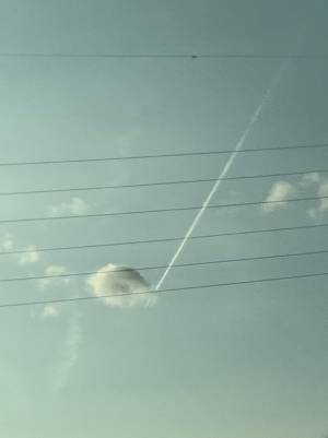 『ソラ』の下に『ファ』が出現！　「心が躍った」