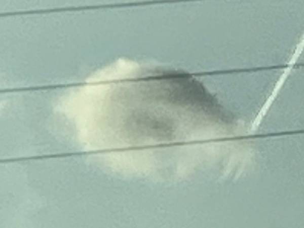 『ソラ』の下に『ファ』が出現！　「心が躍った」