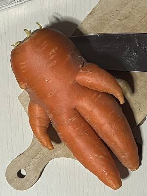 「妻が切るのをためらっている」　まな板に置かれたモノに「二度見した」「何これ！？」