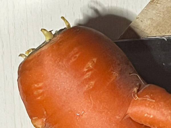 「妻が切るのをためらっている」　まな板に置かれたモノに「二度見した」「何これ！？」