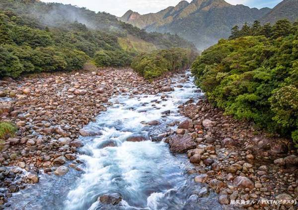 名前の漢字を聞いたお客さん　回答に「笑った」「じわじわくる」