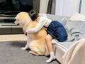 秋田犬と小学生の写真にキュン！　帰宅後の行動に「絆を感じる」