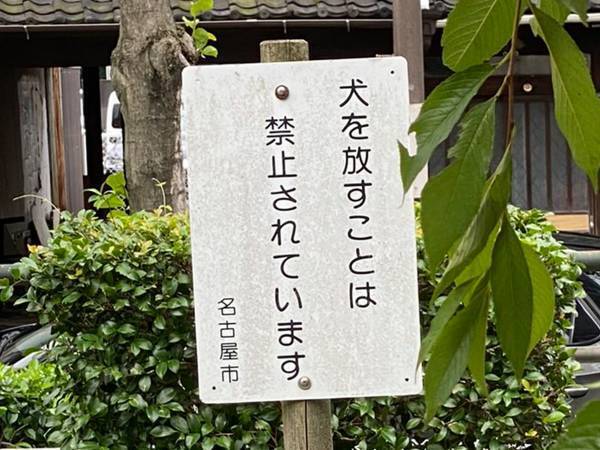 公園で看板の下を見ると？　「思わず吹いた」「これは笑う」