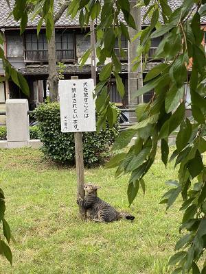 公園で看板の下を見ると？　「思わず吹いた」「これは笑う」