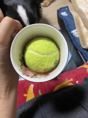 コーヒーを飲んでいたら『不穏な音』　真相に「どうしてこうなった」「これはビビる」