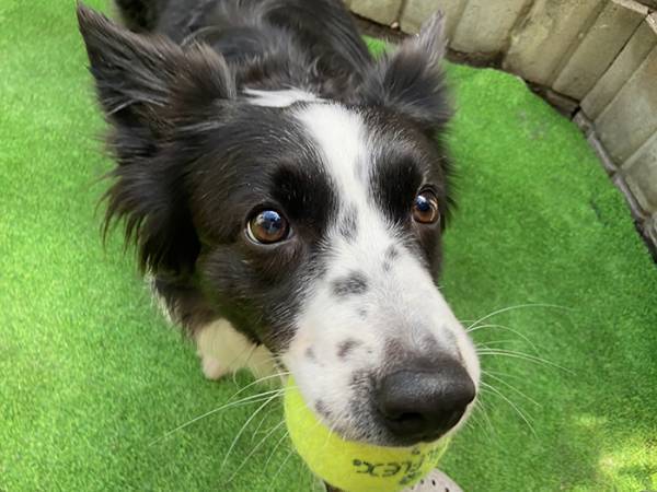 コーヒーを飲んでいたら『不穏な音』　真相に「どうしてこうなった」「これはビビる」